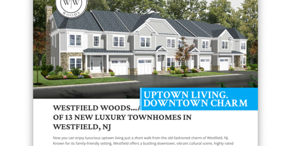 Responsive Design Website